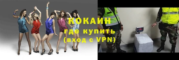 сатива Заволжье