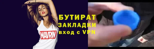 сатива Заводоуковск