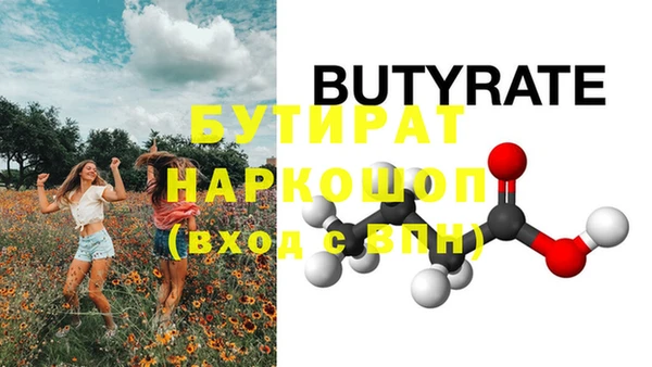 сатива Заводоуковск